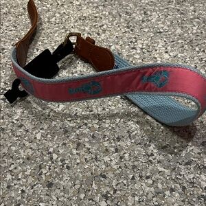 Boys pink  and Blue Lobster Belt